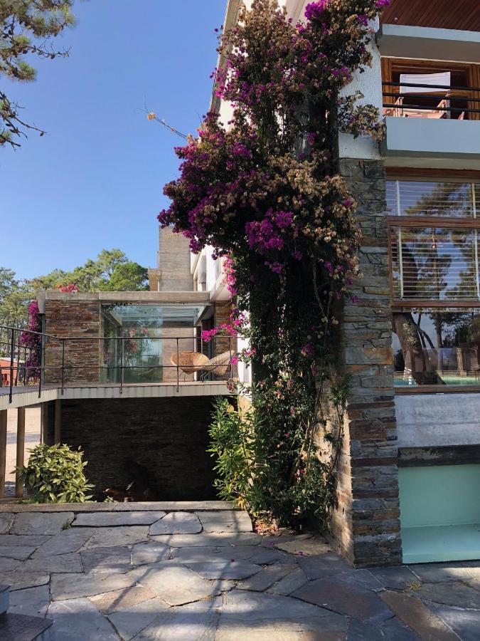 Bungalow B9 - Nature, Beach & River Fão Exterior foto